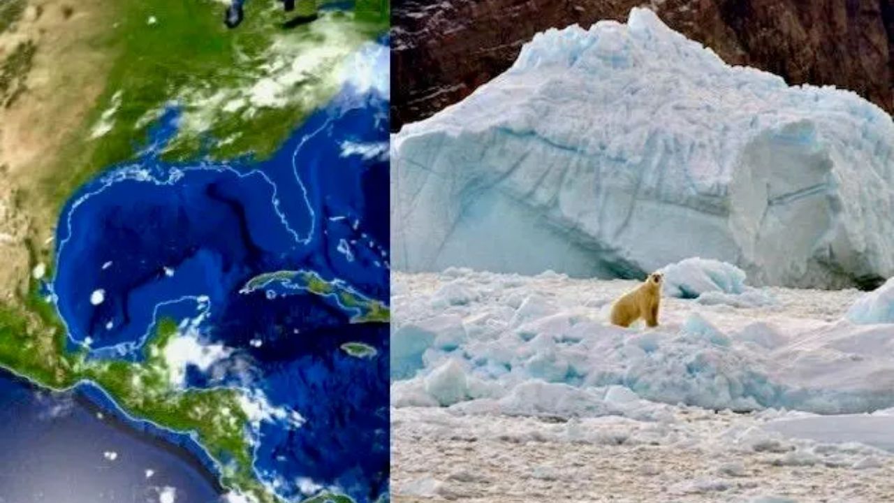 What Will Florida Look Like if All Ice on Earth Melts